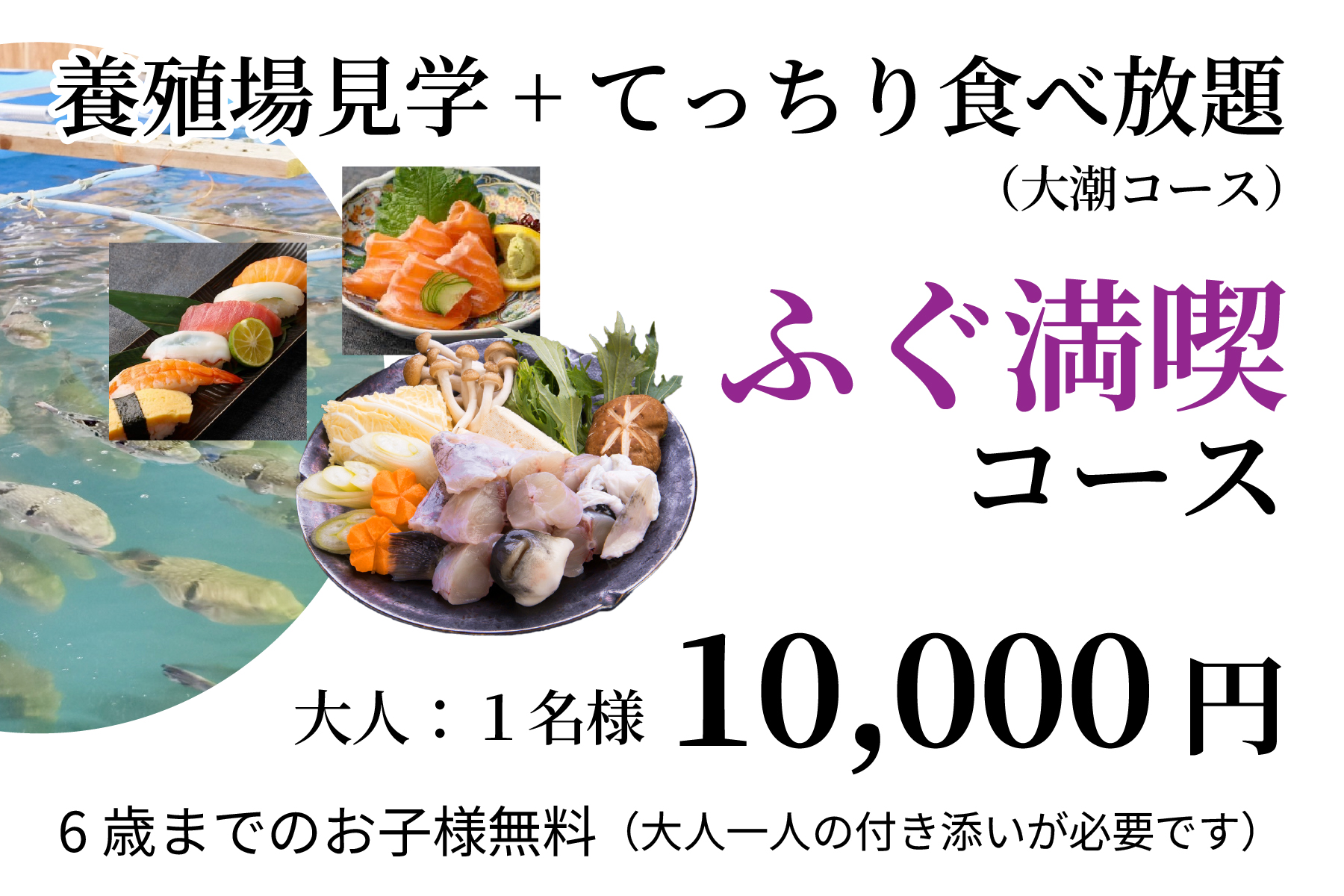 ふぐ満喫コース（養殖場見学＋てっちり食べ放題（大潮コース））